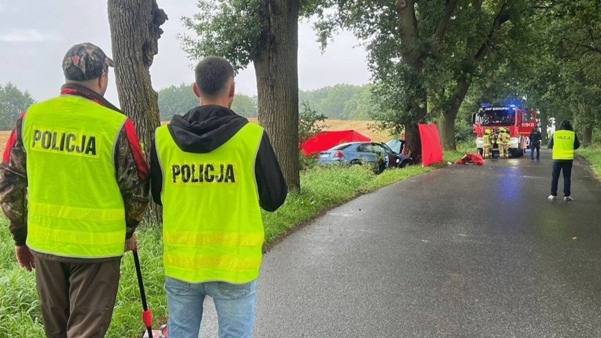 tragiczny wypadek w piotrowicach ford uderzył w drzewo, kierowca zginął