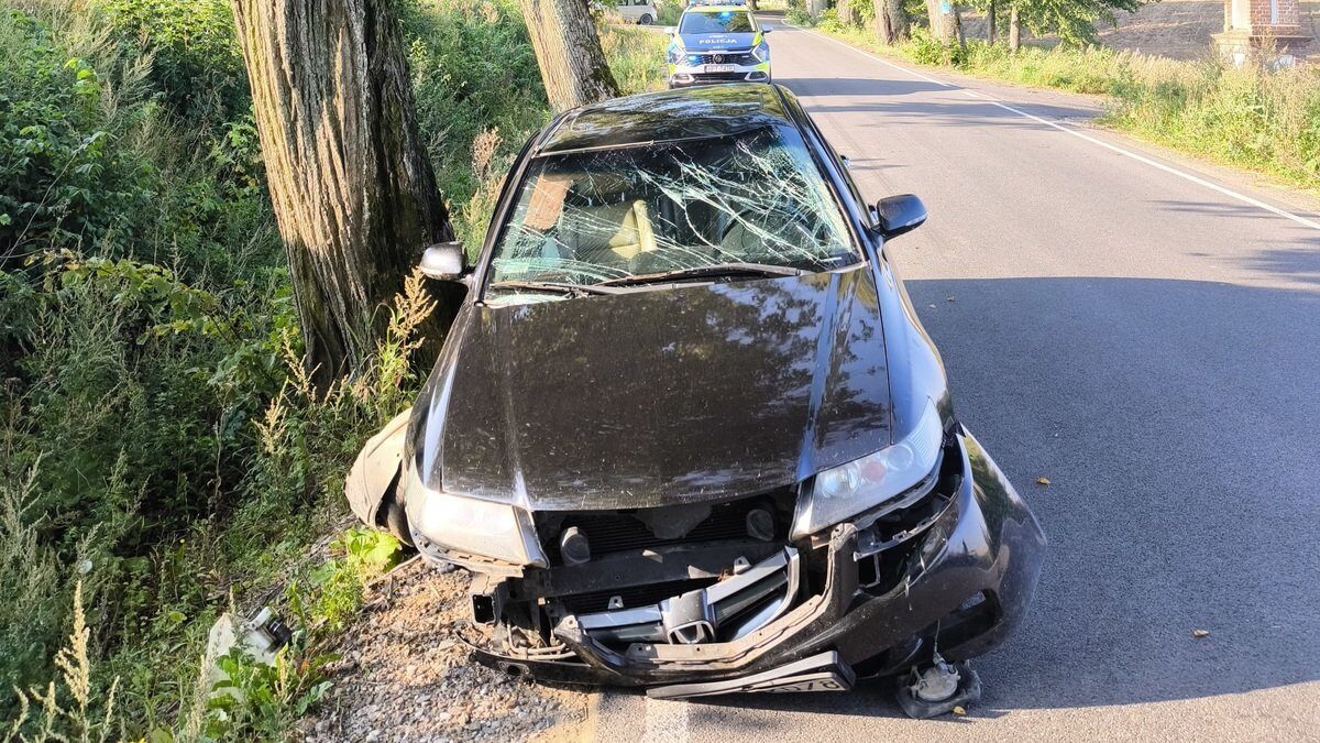 nietrzeźwy kierowca na urlopie zatrzymany przez policjanta skazany w trybie przyspieszonym