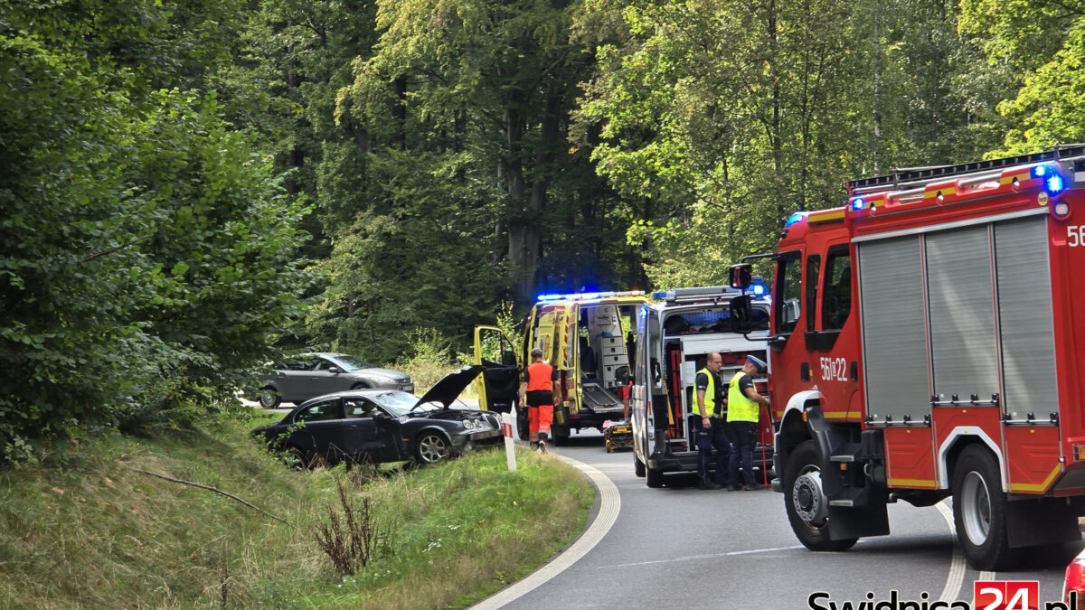 Śmiertelny wypadek rowerzysty na „modliszówce” – kompleksowa analiza i raport